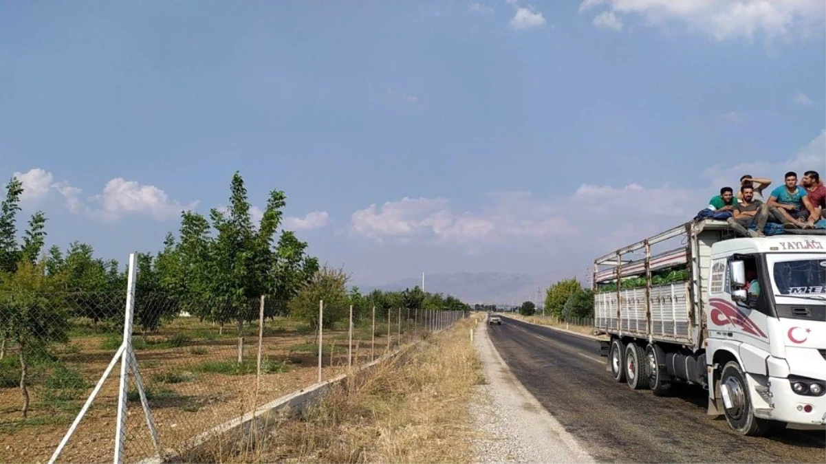 Kamyonun sürücü kabininin üstünde tehlikeli yolculuk