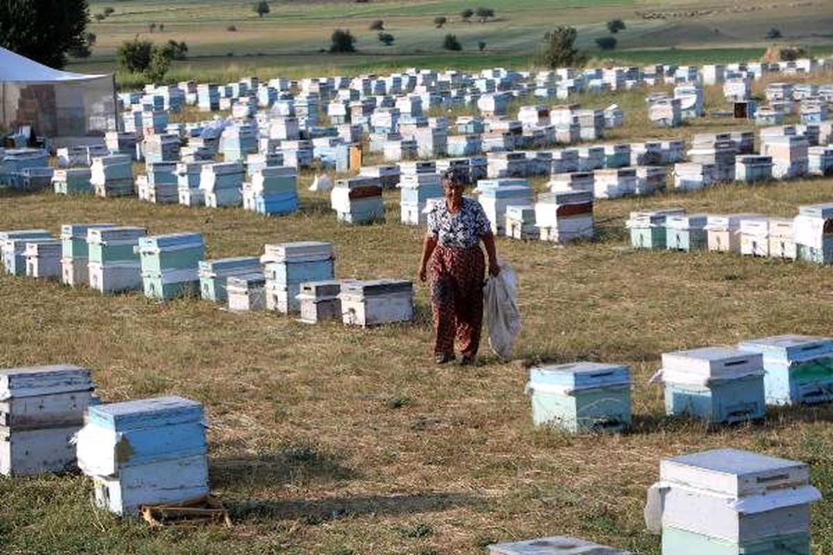 Muğlalı kadın arıcı 27 yıldır Yüksekova\'da arıcılık yapıyor