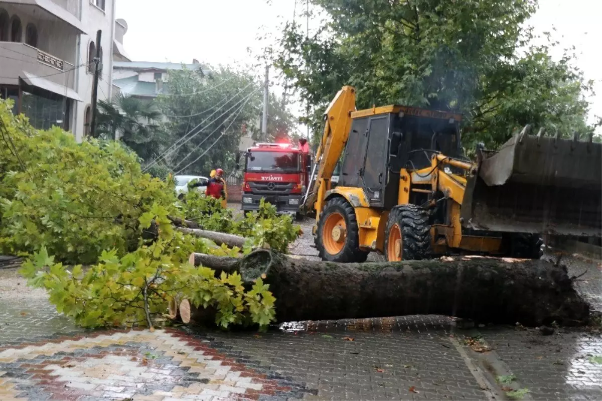 Sakarya\'yı etkisi altına alan yağmur hayatı olumsuz etkiledi