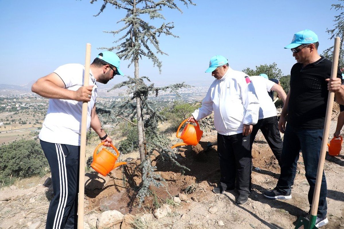 Talas belediye meclis üyeleri Ali Dağı\'nda fidan dikti