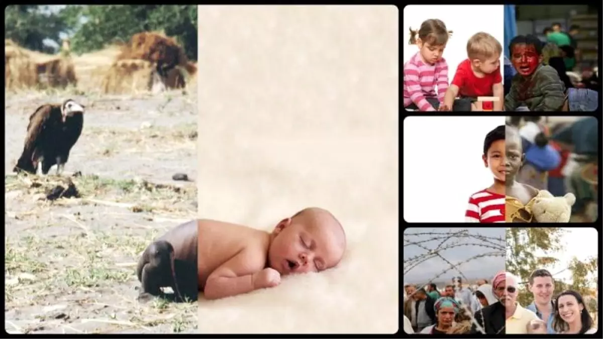 2 farklı dünya, 1 fotoğraf: Sanatçı Uğur Gallenkuş\'un insanlara vermek istediği 2 farklı mesaj