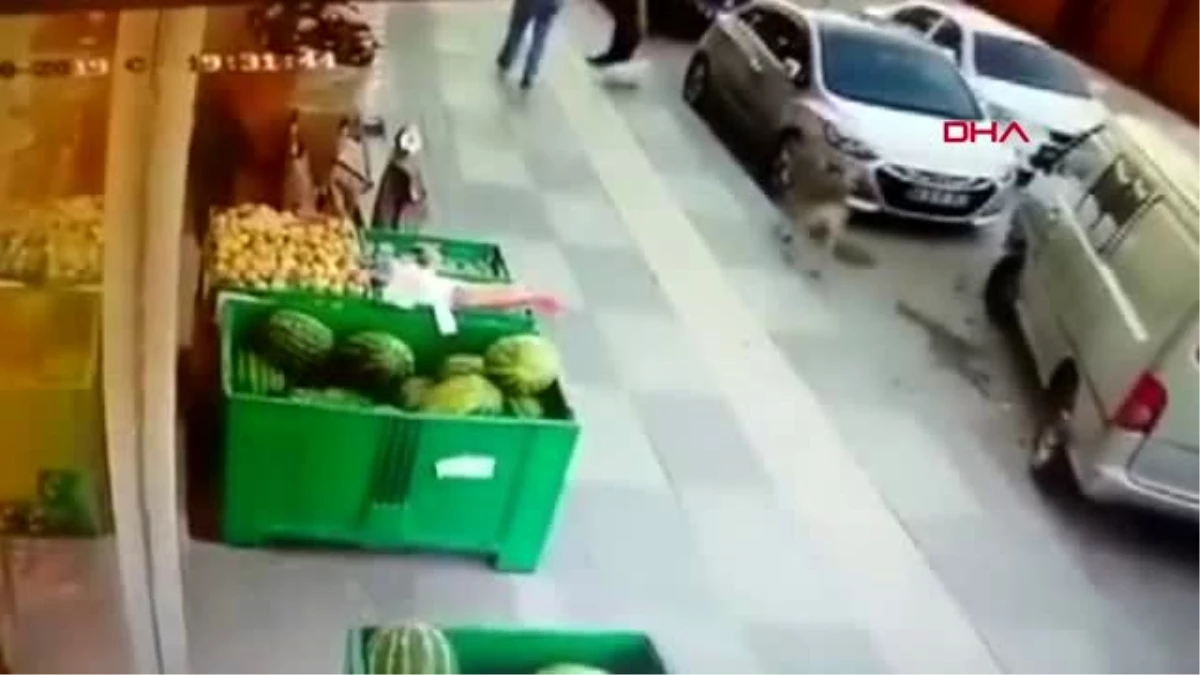 ANKARA Süs köpeğiyle dalaşan sokak köpeğine tekme attı