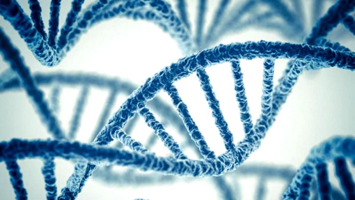 Antik DNA araştırmaları ırkçılık tartışmalarına nasıl zemin hazırlıyor?