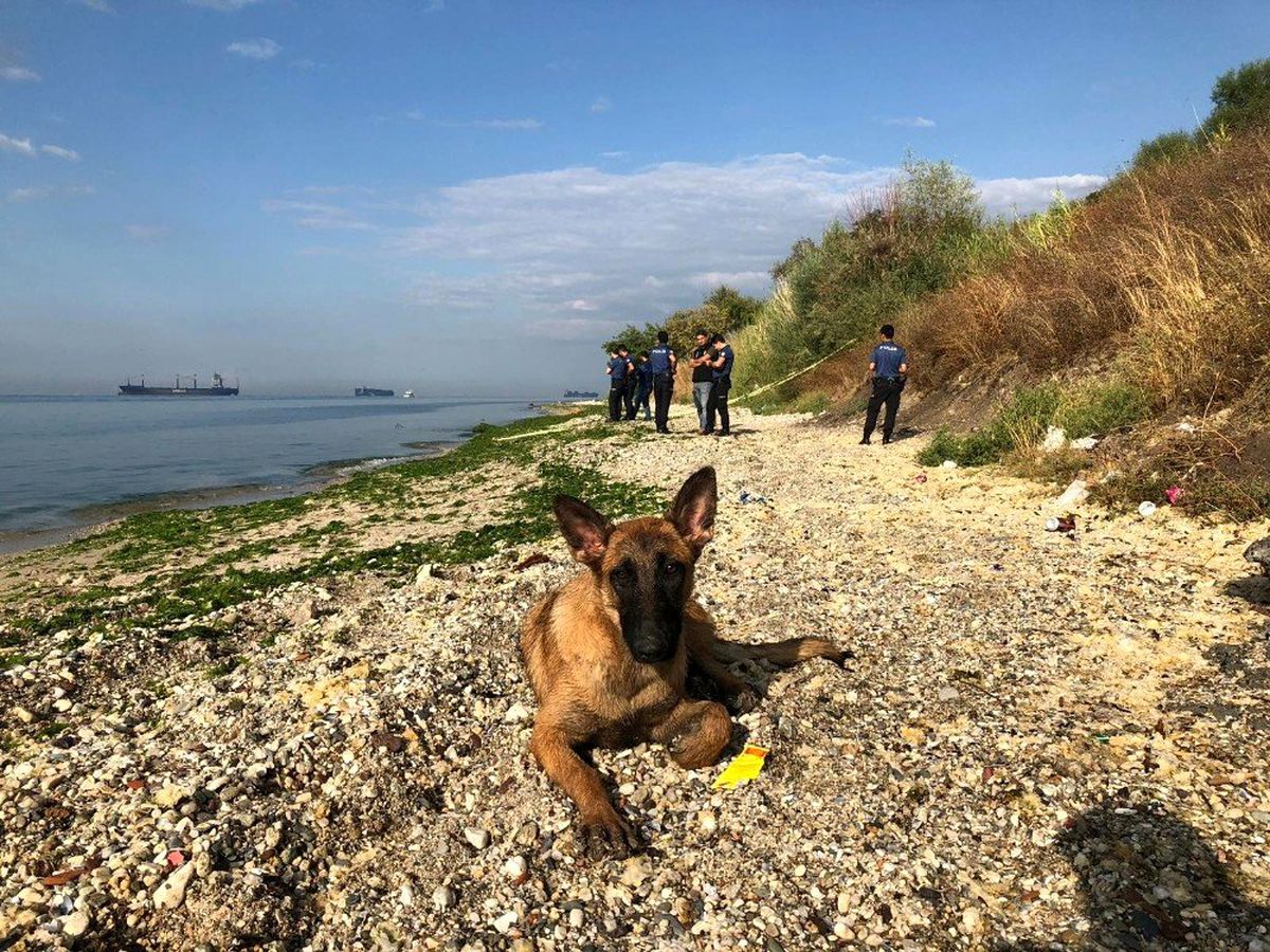 Beylikdüzü Kavaklı Sahili\'nde poşet içerisinde yeni doğmuş bir bebek cesedi kıyıya vurdu.