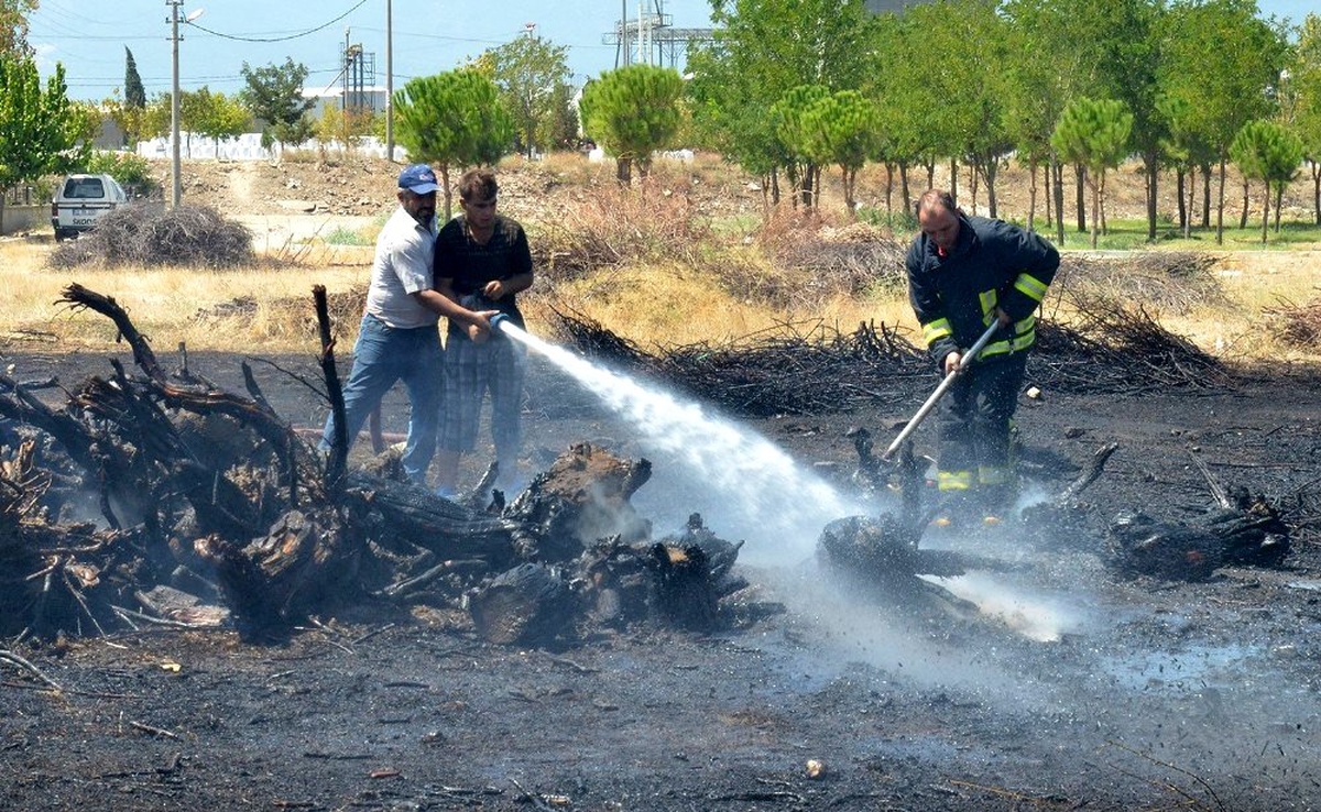 Hayvan damlarında yangın çıktı, hayvanlar telef olmaktan kurtarıldı