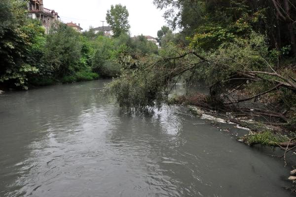 Irmağın suyu siyaha büründü, balık ölümleri başladı