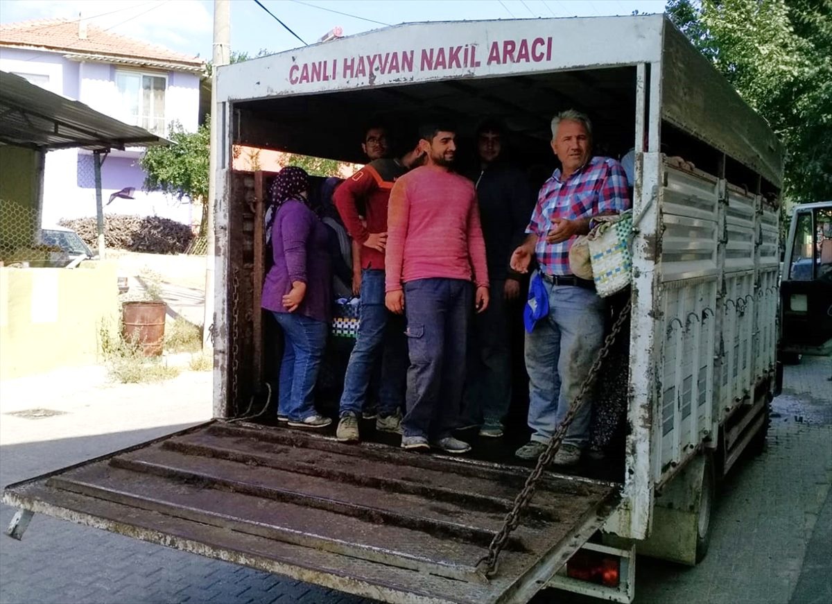 Kamyonet kasasında 23 işçi taşıyan sürücüye ceza