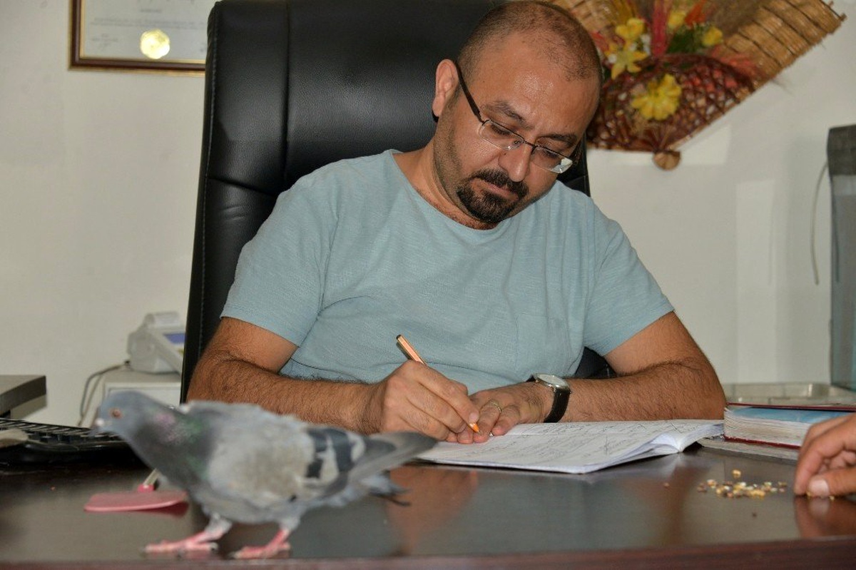Kanadı kırık güvercine sahip çıktılar, 2,5 yıldır çiçekçi de yaşıyor