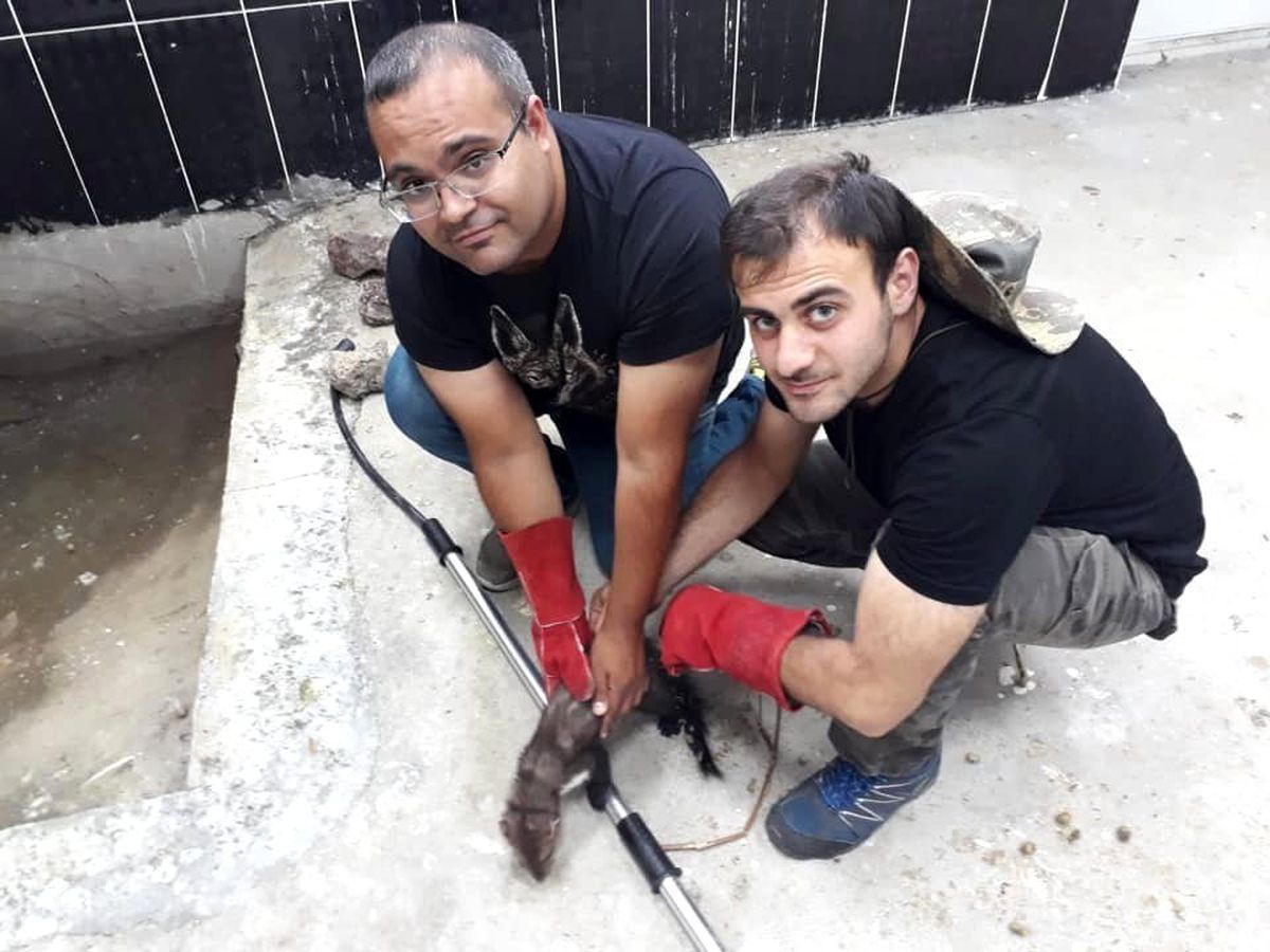 Kars\'ta kaya sansarı tedaviye alındı