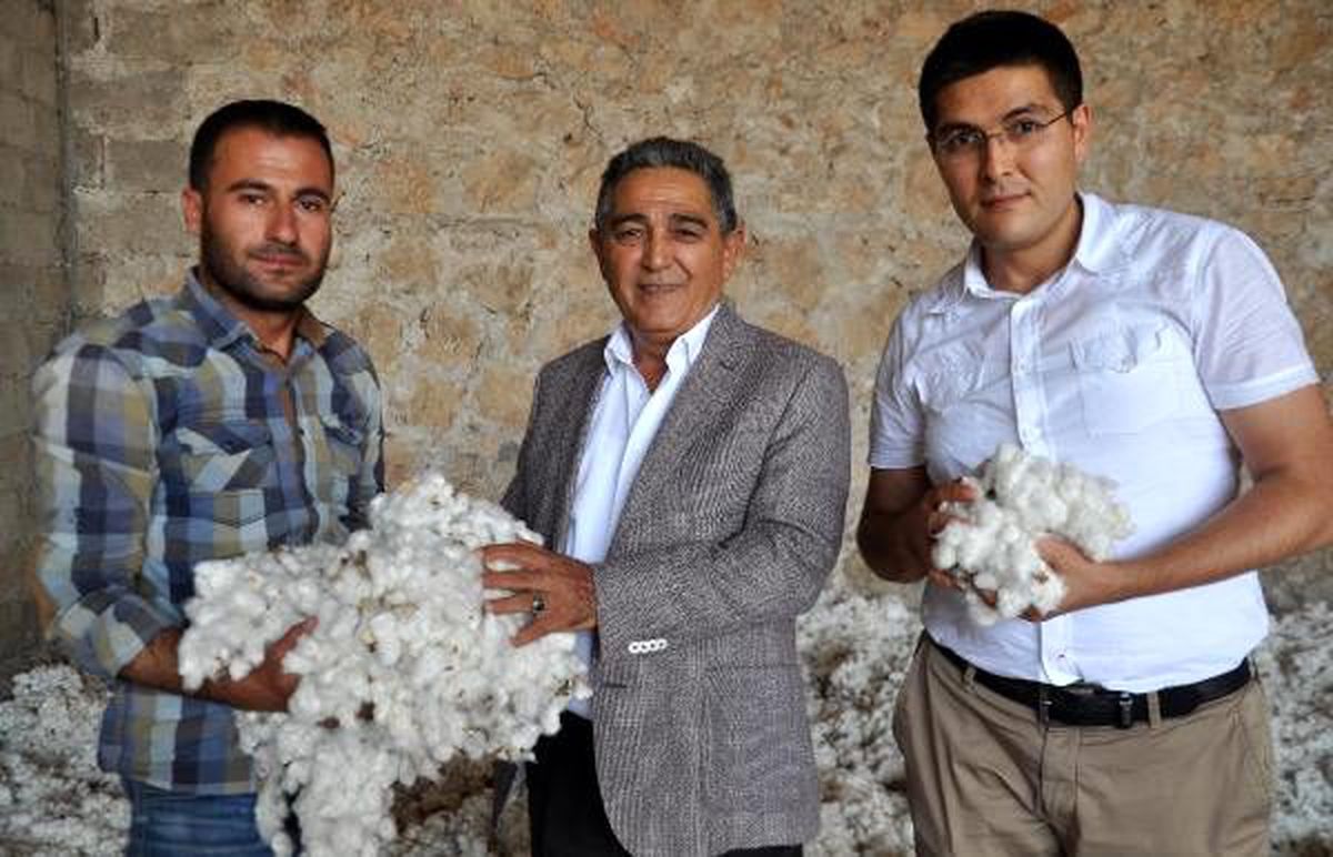 Reyhanlı Ticaret Borsası Başkanı Karaca: Pamuk fiyatı en az 5 lira olmalı