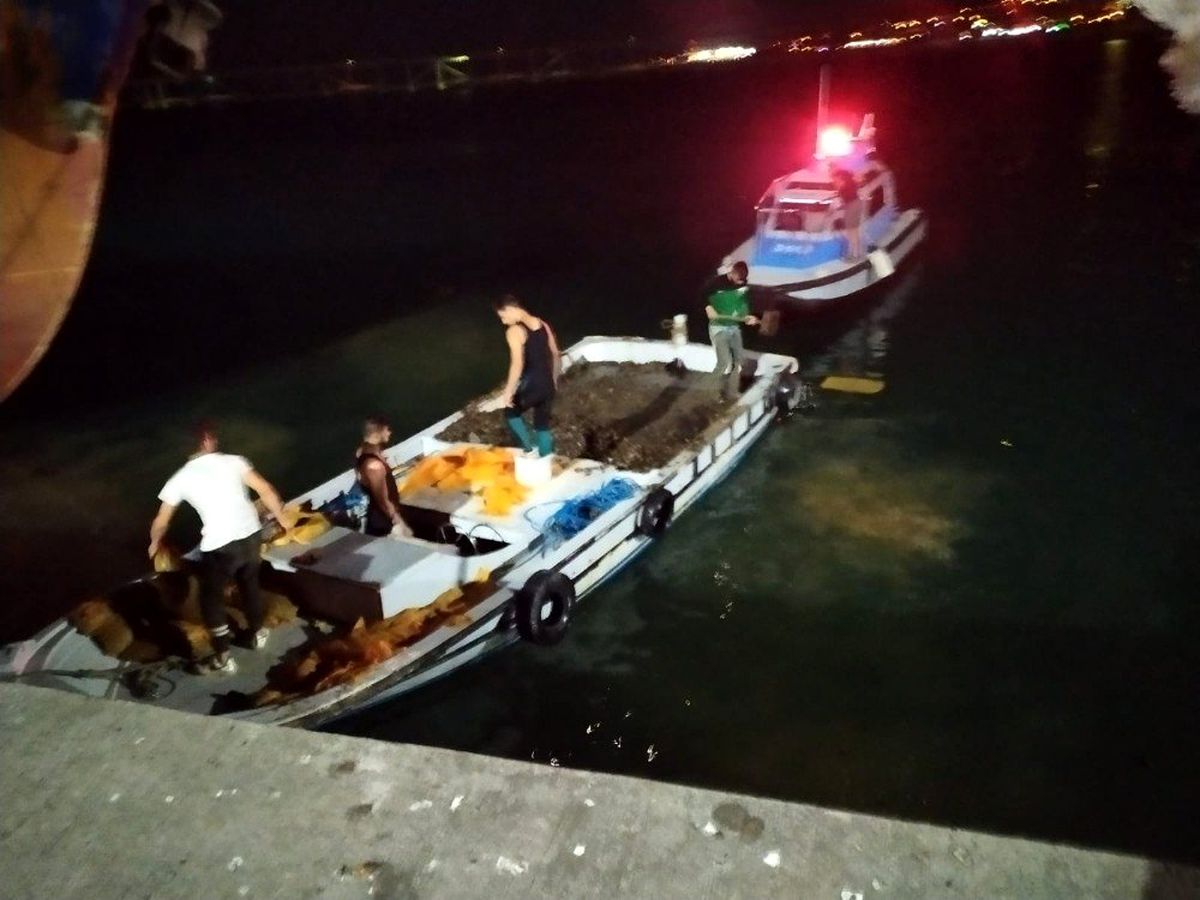 Tekirdağ\'da bir tekne dolusu kaçak midye ele geçirildi