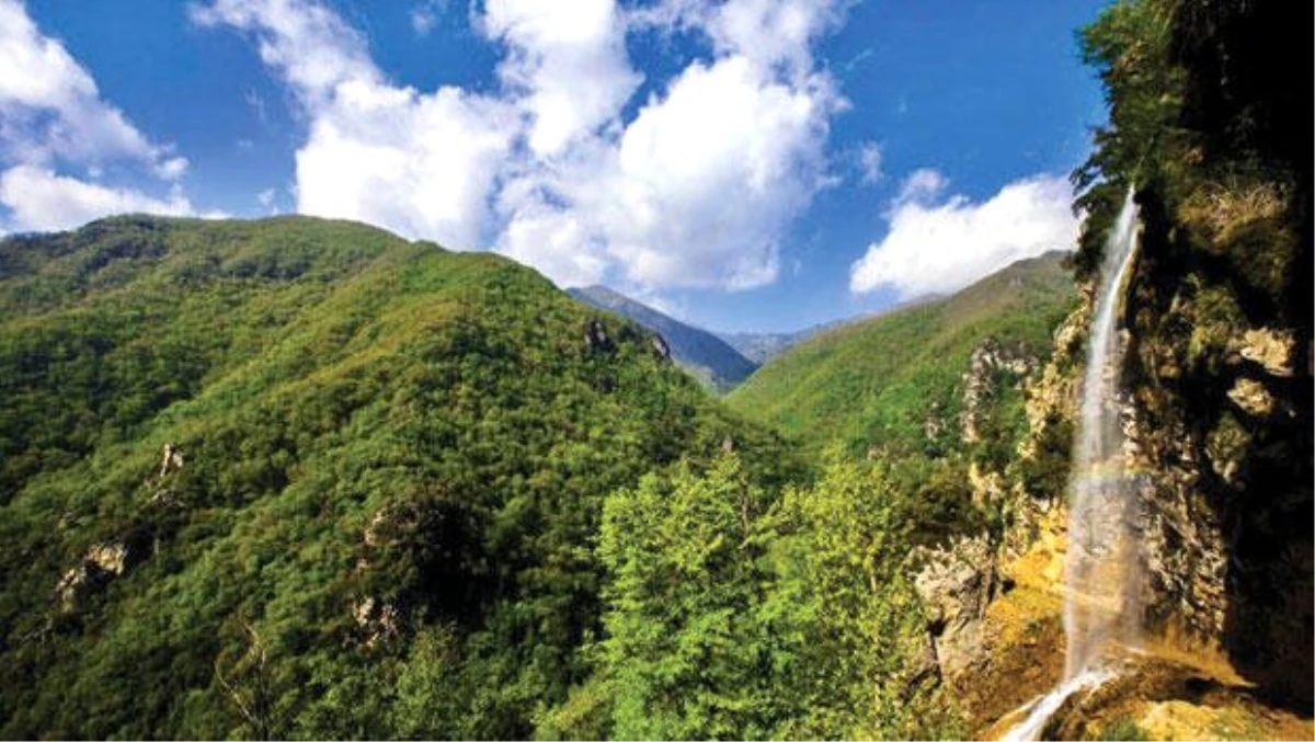 Türkiye\'nin canlı çeşitliliği açısından en zengin 10 dağı