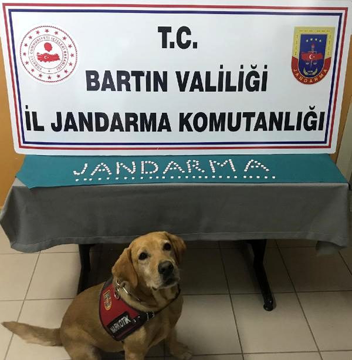 137 uyuşturucu hap ele geçirildi, 1 kişi tutuklandı