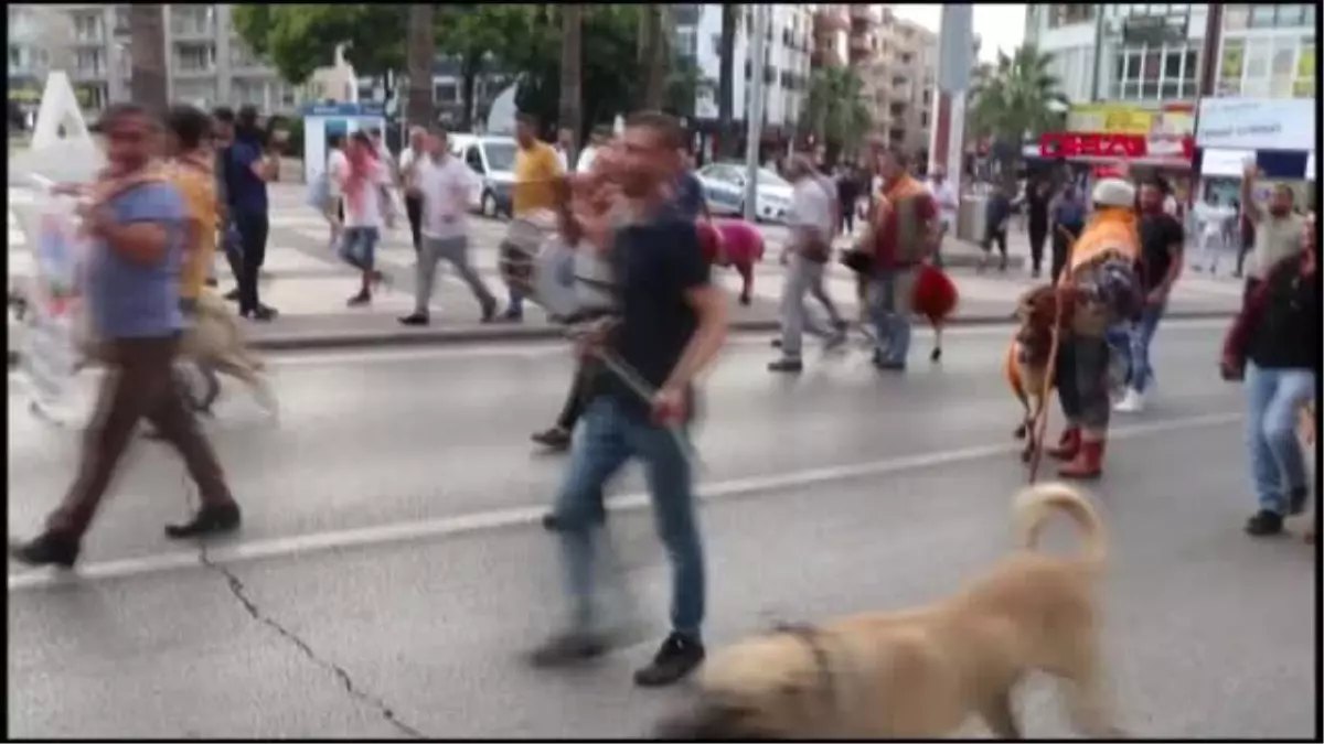 8 asrı aşkın süredir devam eden etkinliğe, rengarenk davet