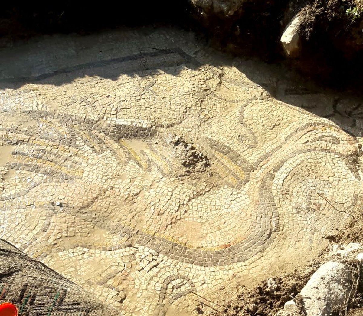 Adıyaman\'da kuş figürlü mozaik bulundu