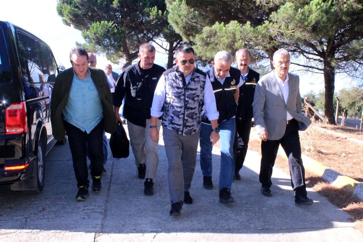 Bakan Pakdemirli\'den yangınlar hakkında son bilgi