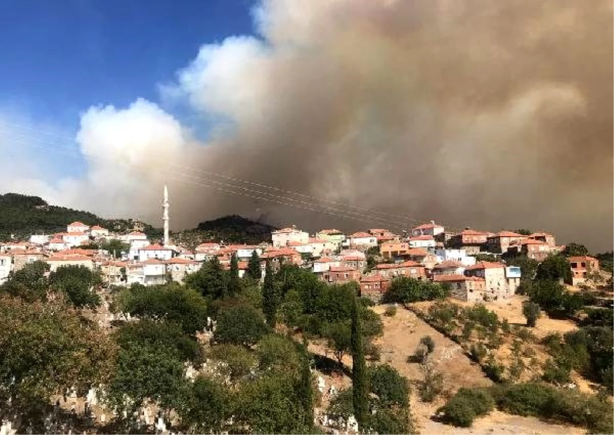 Bakan Pakdemirli, İzmir\'deki orman yangını bölgesini havadan inceledi (6)