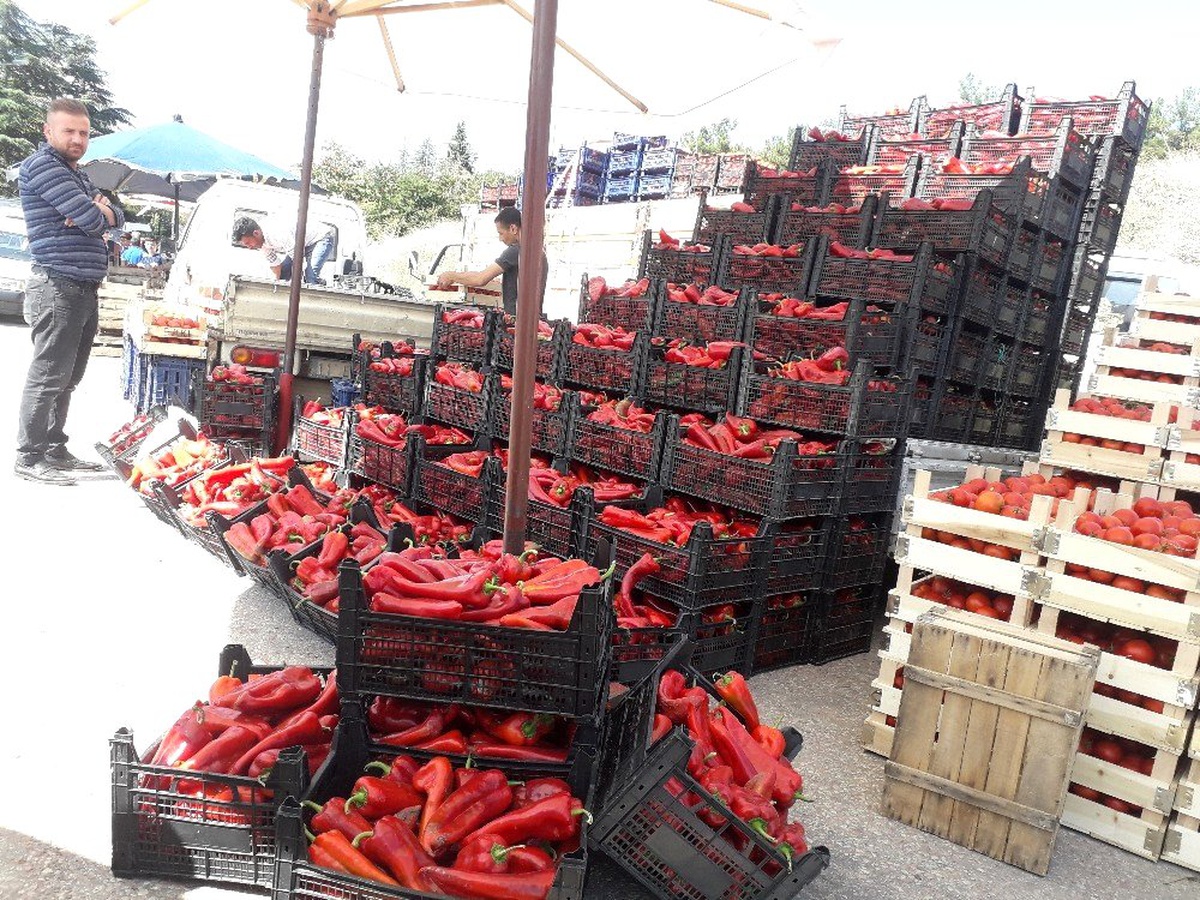 Bilecik\'te salçalıklar pazar tezgâhlarını doldurdu
