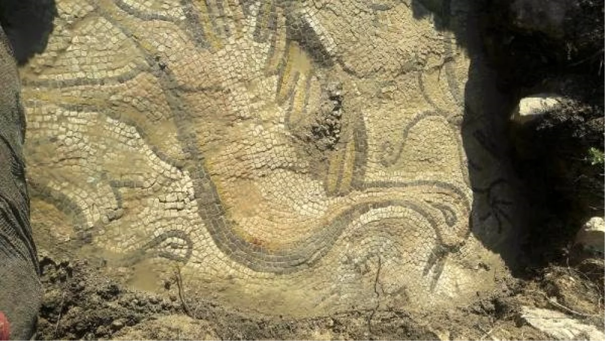 Bizans dönemine ait mozaiği çiftçiler buldu