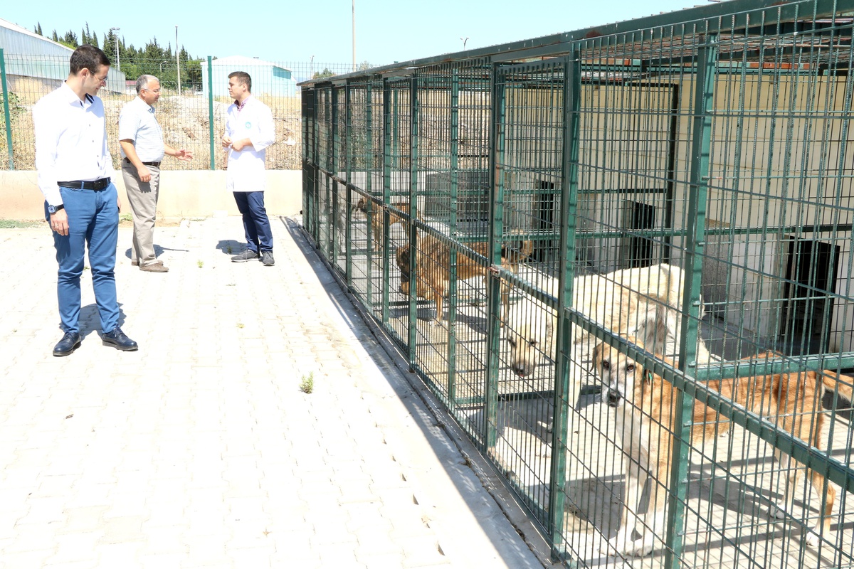 Can dostlarımızın sağlığı büyükşehirle güvende