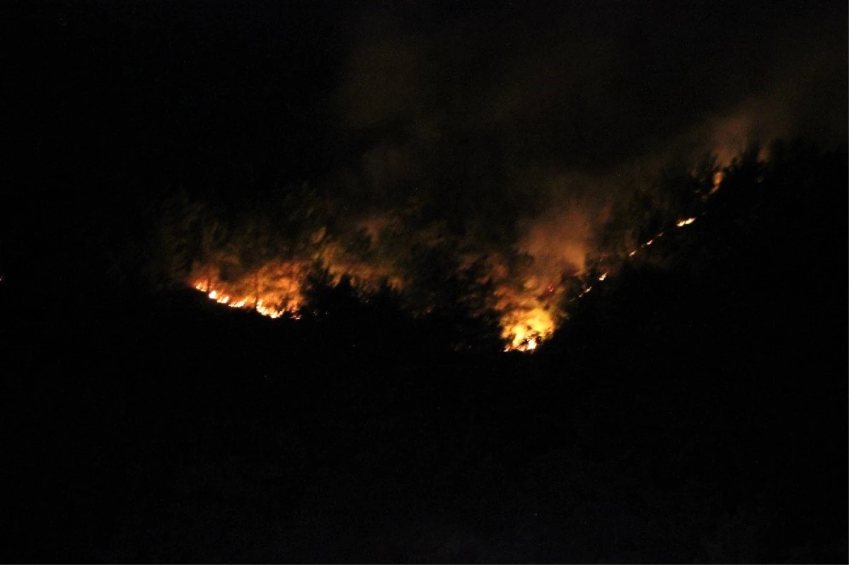Hatay\'da kontrol altına alınan orman yangını yeniden alevlendi