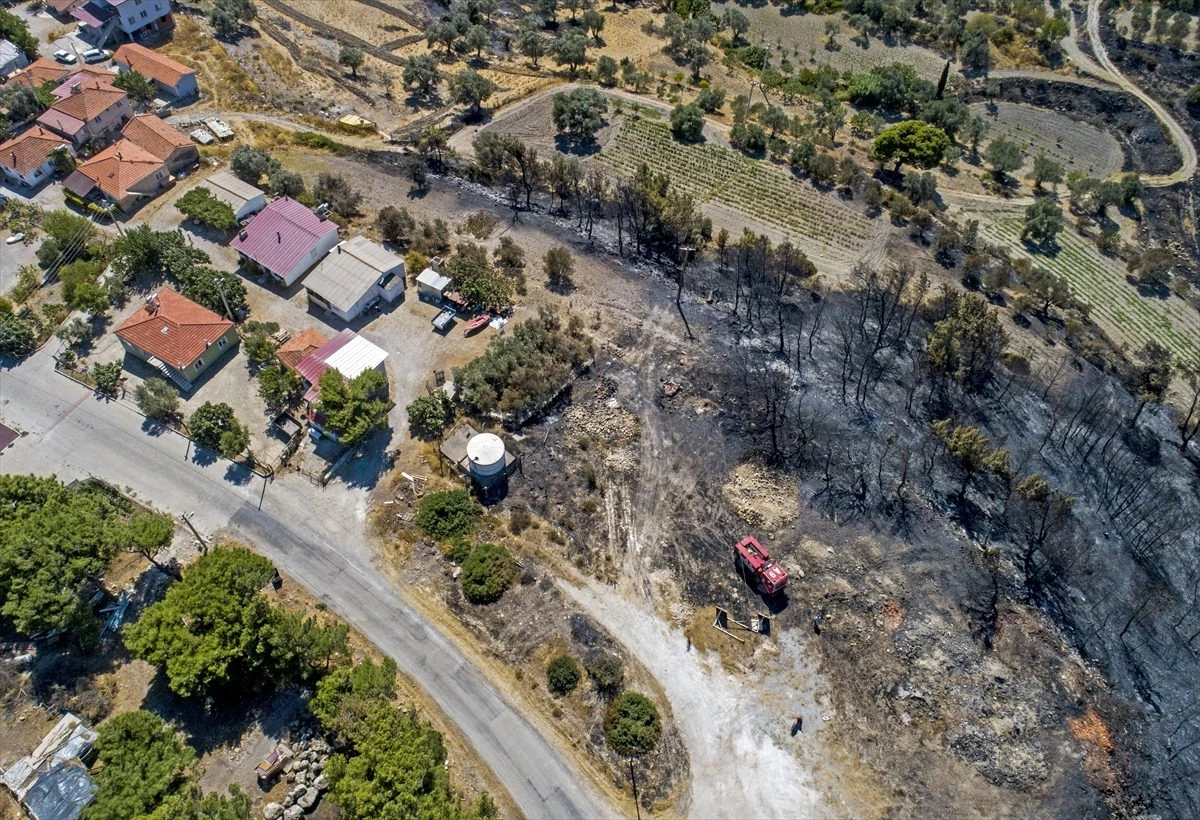 İzmir\'de yanan ormanlık alanlar havadan görüntülendi