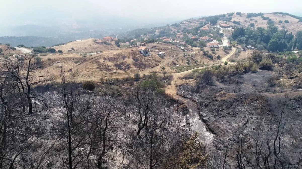 İzmir\'de yangını söndürme çalışmaları sürüyor