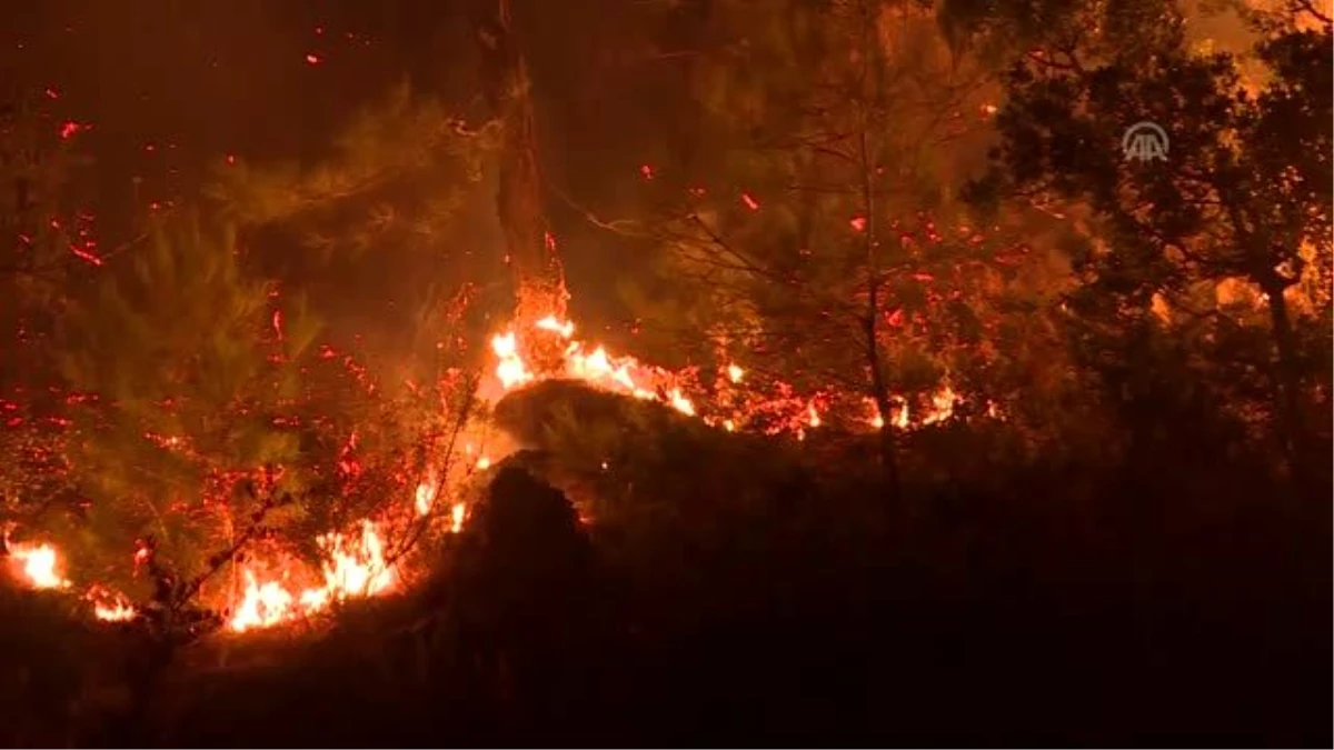İzmir\'deki orman yangını
