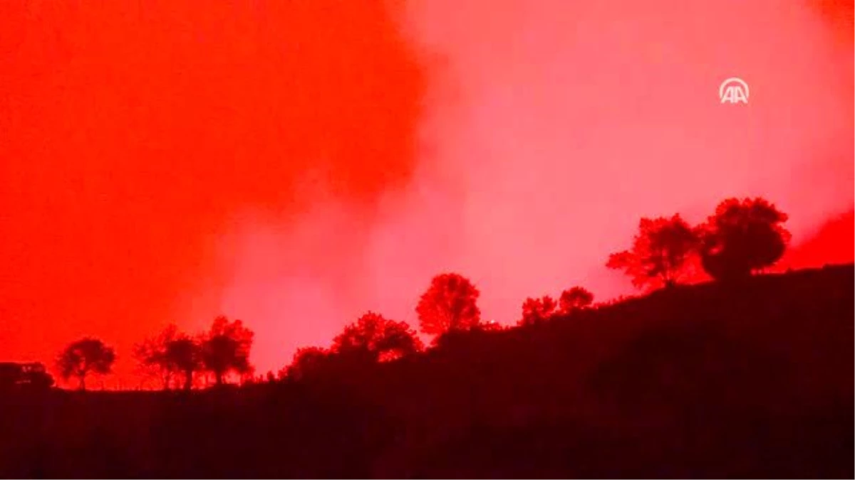 İzmir\'deki orman yangını (2)