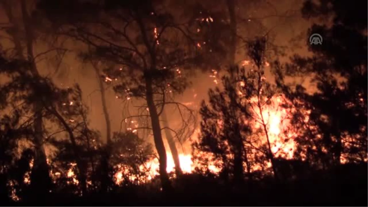 Karabağlar\'da başlayan orman yangını iki mahalleye yaklaştı