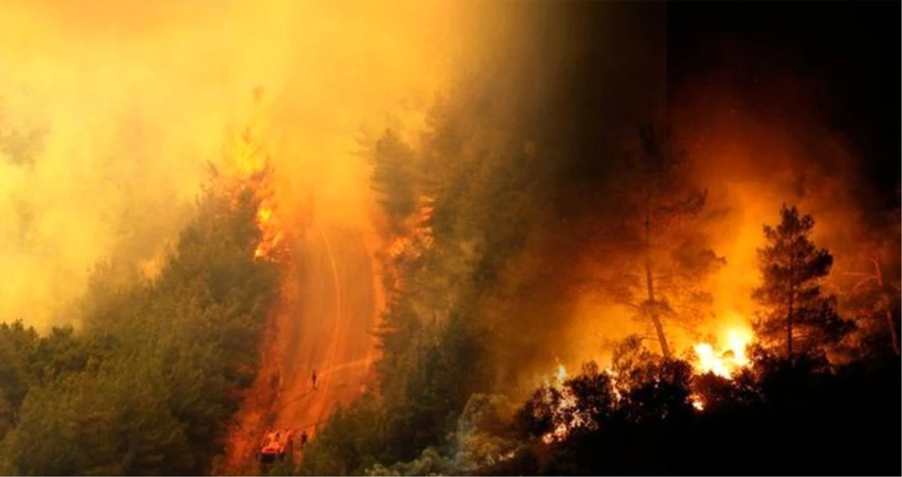 Milas\'taki yangını söndürme çalışmaları devam ediyor