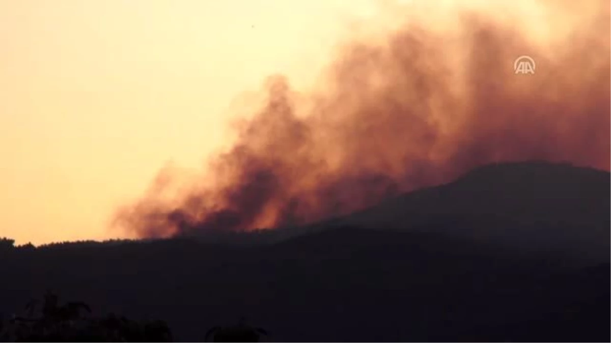 Muğla\'daki orman yangınları kısmen kontrol altına alındı