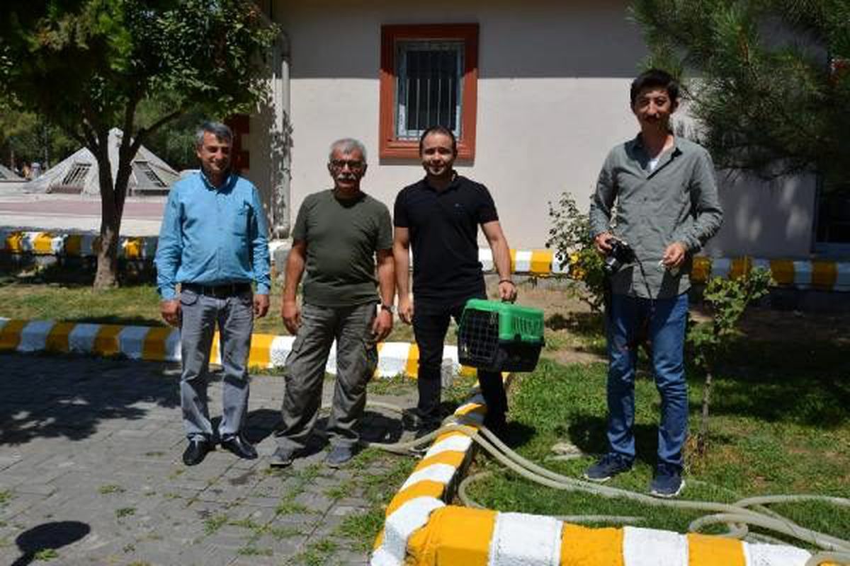 Susuz kalan kaplumbağaya yardım eli
