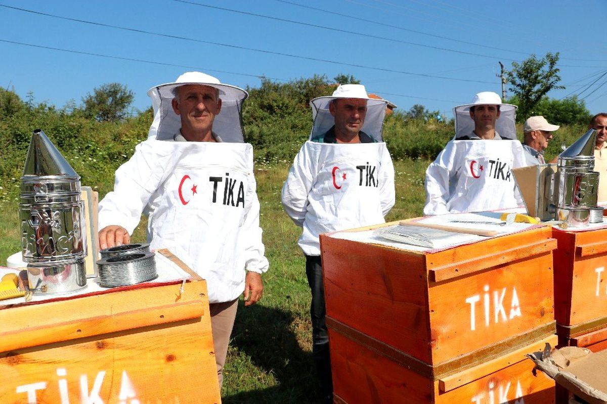 TİKA\'dan Arnavutluk\'a arıcılık alanında destek