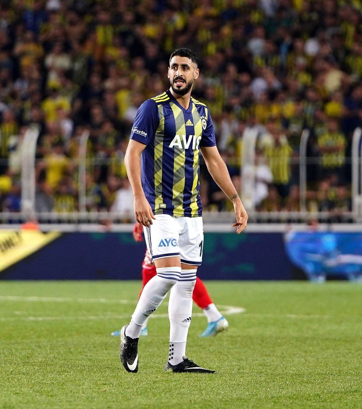 Tolga eksiltti, Dirar attı