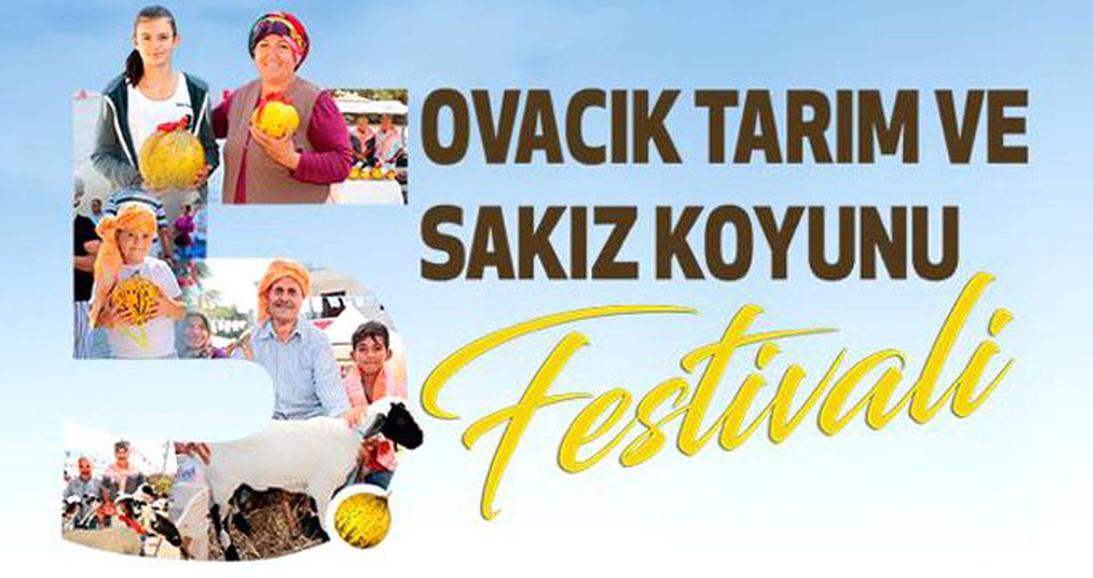 5. Ovacık Tarım ve Sakız Koyunu Festivali başlıyor