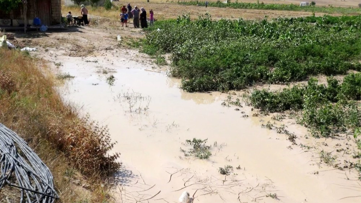 Aksaray\'da tarım arazilerini dolu ve sel vurdu