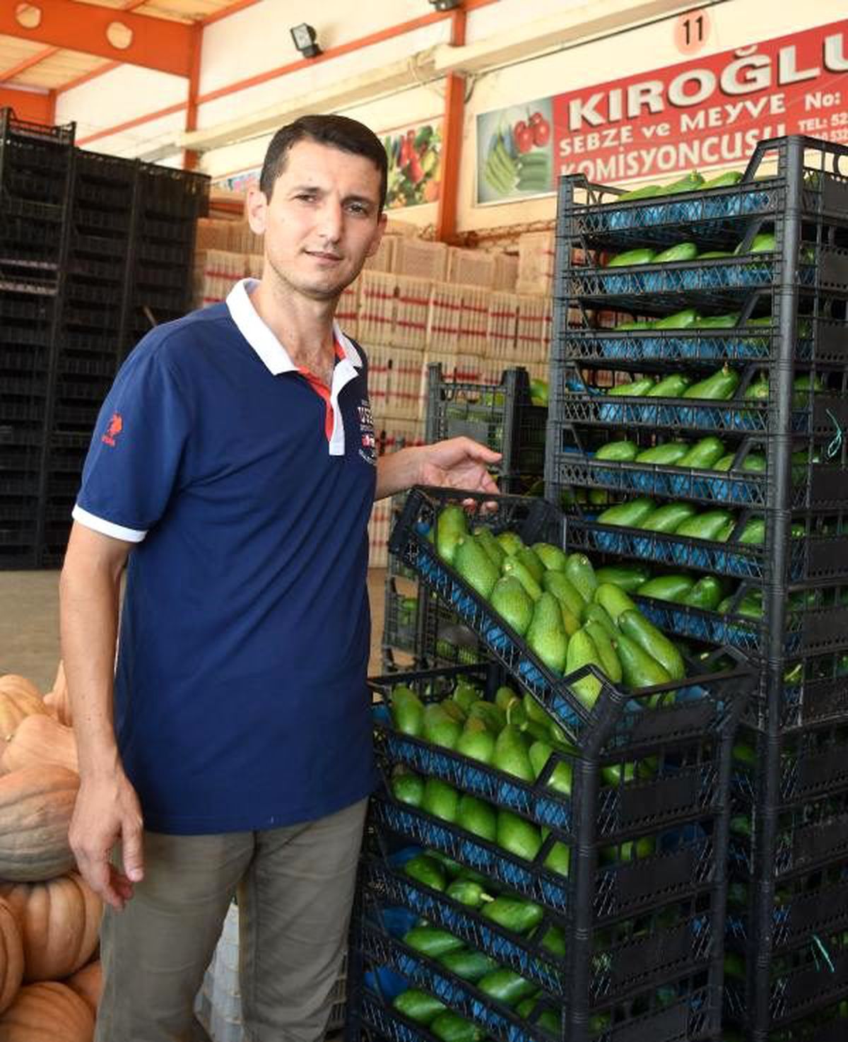 Alanya\'dan Ukrayna\'ya avokado ihracatı