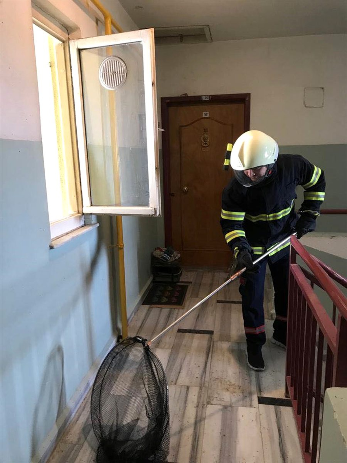 Apartman boşluğundaki 60 yarasa doğaya bırakıldı