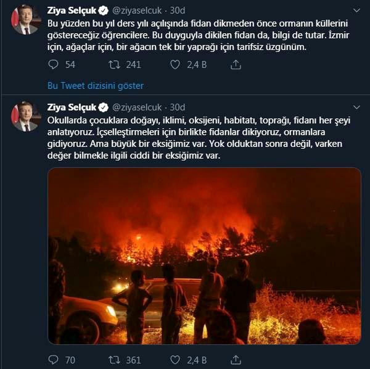 Bakan Selçuk: Öğrencilere ormanın küllerini göstereceğiz