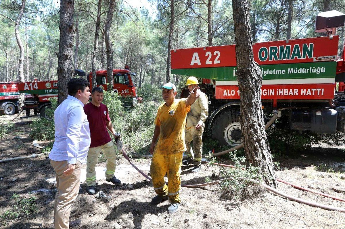 Binlerce İzmirli gönüllü oldu: "Ormanlarımız için bizde yardım edelim"