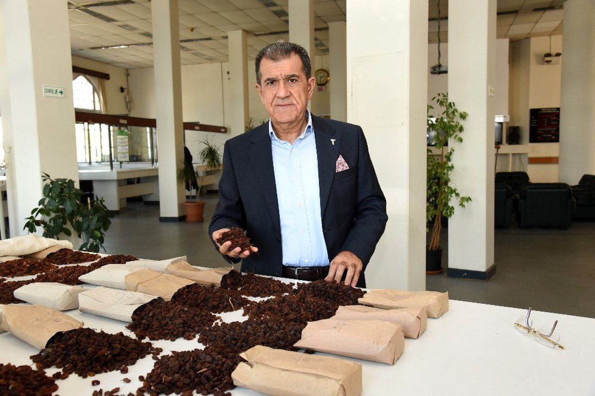Çekirdeksiz kuru üzüm ihracatı 500 milyon doları aştı