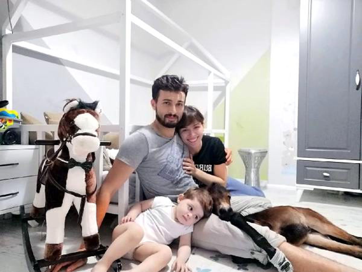 Evin çocuğu kıskandı, \'Cıvık\' tekrar üniversiteye götürüldü