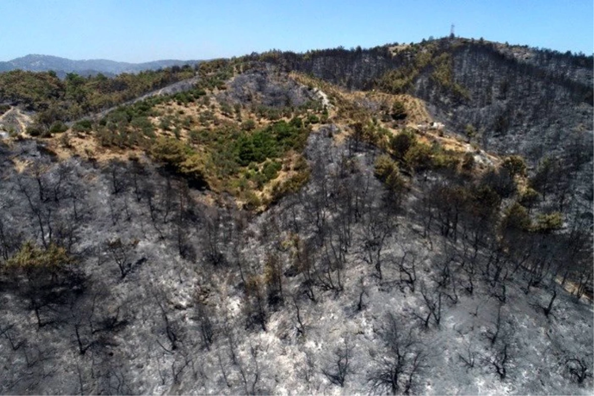 İzmir\'deki orman yangınına müdahale sürüyor