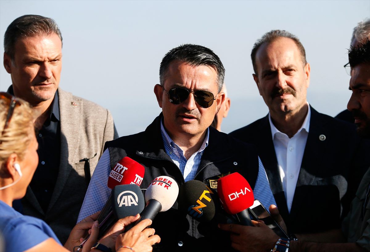 İzmir\'deki yangın kontrol altına alındı