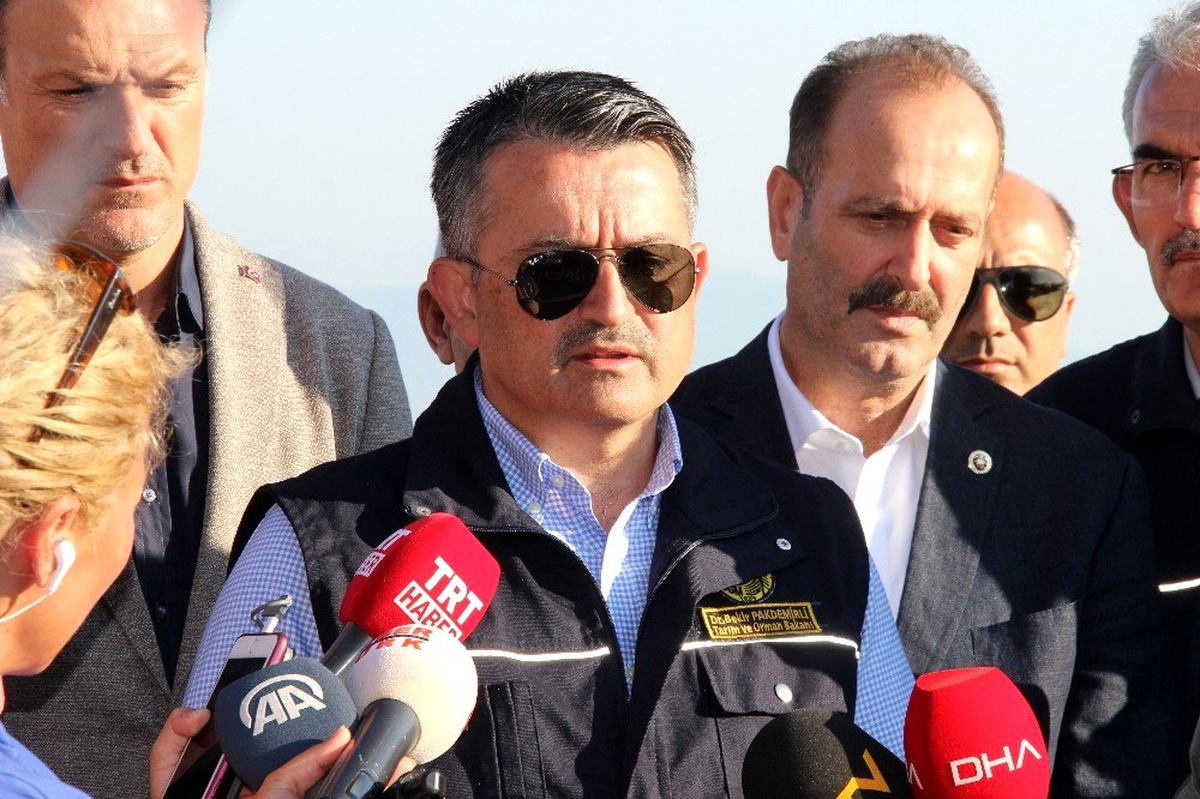 İzmir\'den iyi haber geldi: Orman yangını kontrol altında