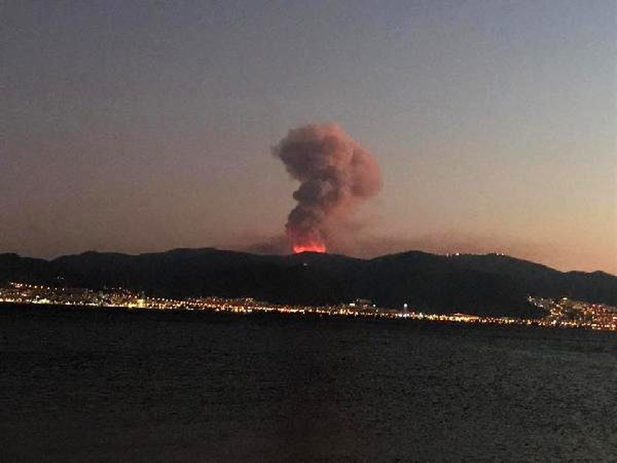 İzmir kulüplerinden ağaç seferberliği