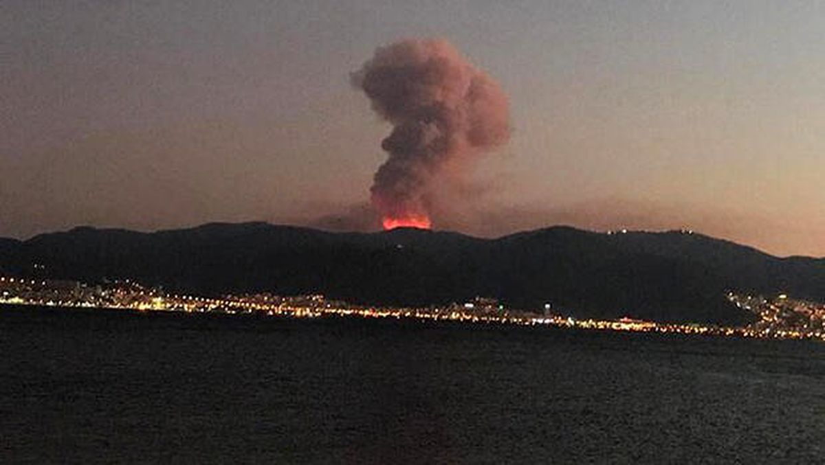 İzmir kulüplerinden ağaç seferberliği!
