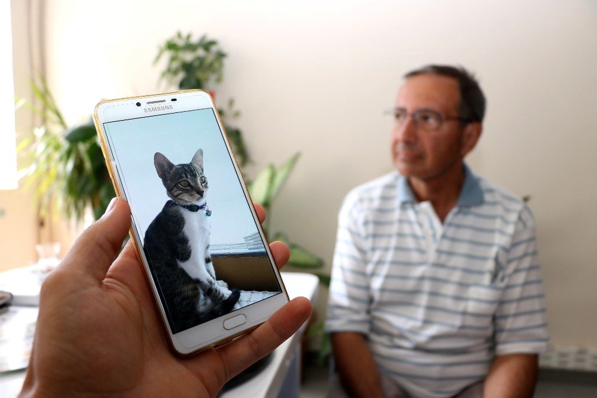 Kayıp can dostları kediyi bulana ödül verecekler