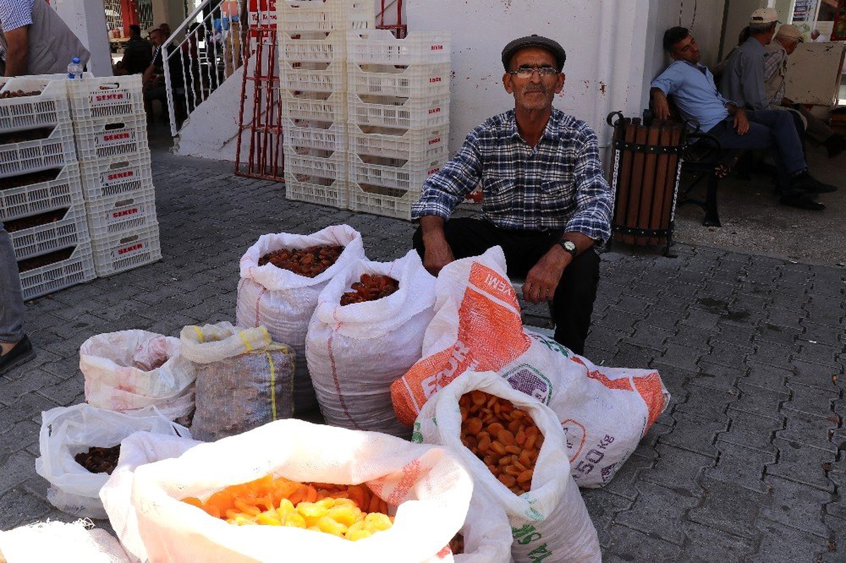 Kayısıda bu yılın mahsulleri pazara inmeye başladı